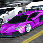 Simulátor parkování pro závody